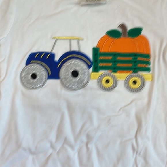 Classic Whimsy boys Pumpkin / fall pajama set. - Picture 5 of 6